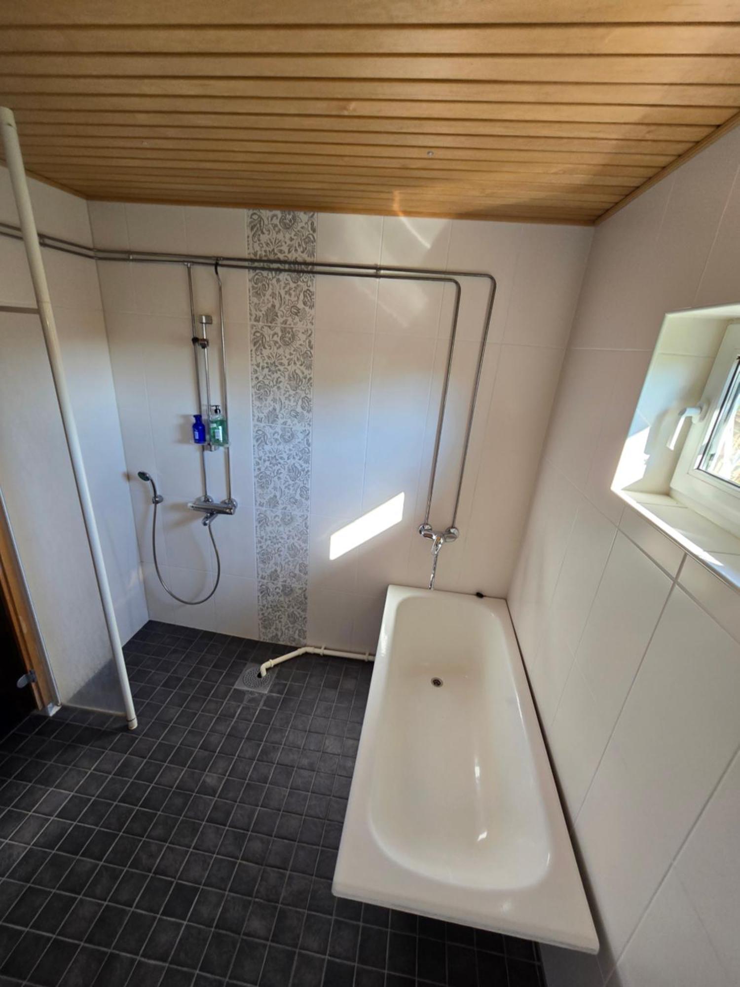 Anttoninvahe 7 130M2 With Garden And Sauna Etc 라우마 외부 사진